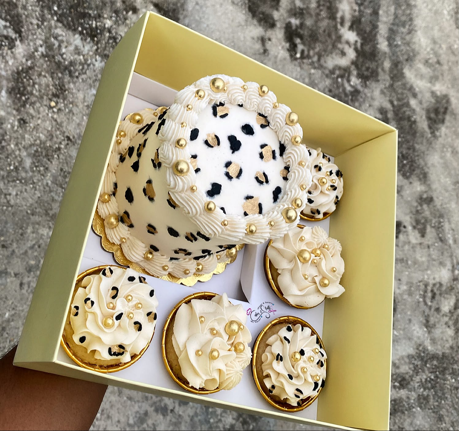 Leopard Textured Bento Box with 5 cupcakes